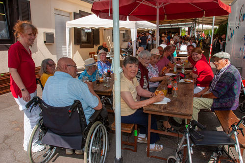 Besuch aus der Nachbarschaft
