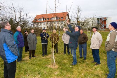 Fruehjahrsschnittkurs-2_2010-03_004.jpg