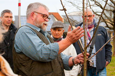 Fruehjahrsschnittkurs_20170303_0028.jpg