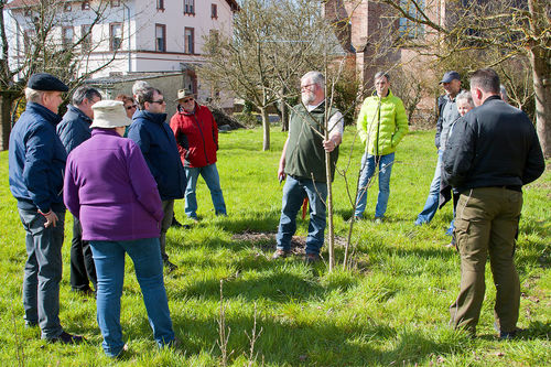 Fruehjahrsschnitt_20180407_0103.jpg