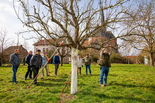 Unser Lehrgarten hinter der St. Andreas-Kirche
