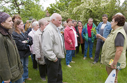 Kraeuterwanderung01.jpg