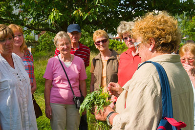 Kr_uterwanderung_20130701_0049.jpg