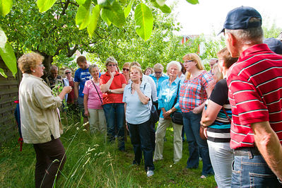 Kr_uterwanderung_20130701_0065.jpg