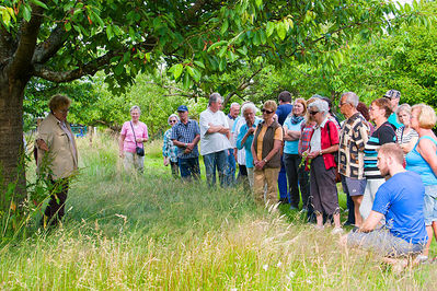 Kr_uterwanderung_20130701_0111.jpg