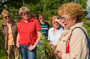 Kr_uterwanderung_20130701_0051.jpg