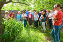 Kr_uterwanderung_20130701_0091.jpg