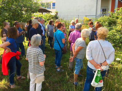 Kraeuterwanderung_2017-07-03_029.jpg