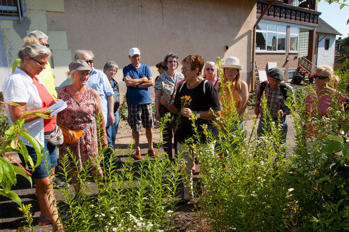 Kraeuterwanderung_20180702_0012.jpg