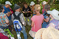 Kraeuterwanderung_20180702_0033.jpg