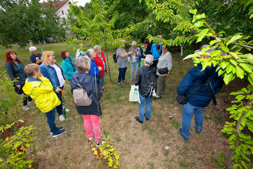 Kraeuterwanderung_20220707_0018.jpg