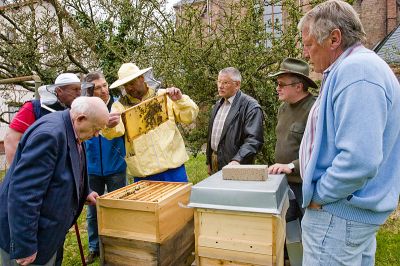 Neue-Bienenvoelker_2011-03-26_002.jpg