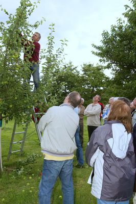 Sommerschnitt_2009_CRW_7420.jpg