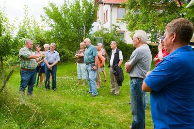 Sommerschnitt_20120705_0009.jpg