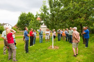 Sommerschnitt_20120705_0049.jpg