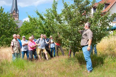 Sommerschnittkurs_20140621_0039.jpg