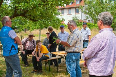 Sommerschnittkurs_20150627_0135.jpg