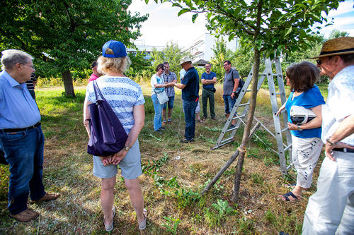 Sommerschnittkurs_20190705_0020.jpg