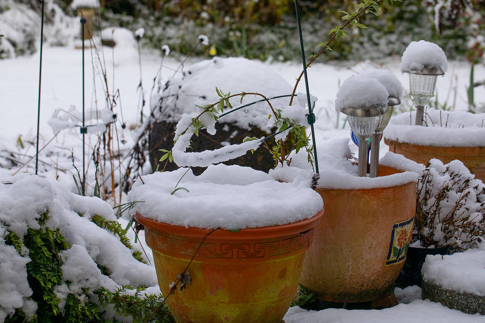 Schnee im Garten