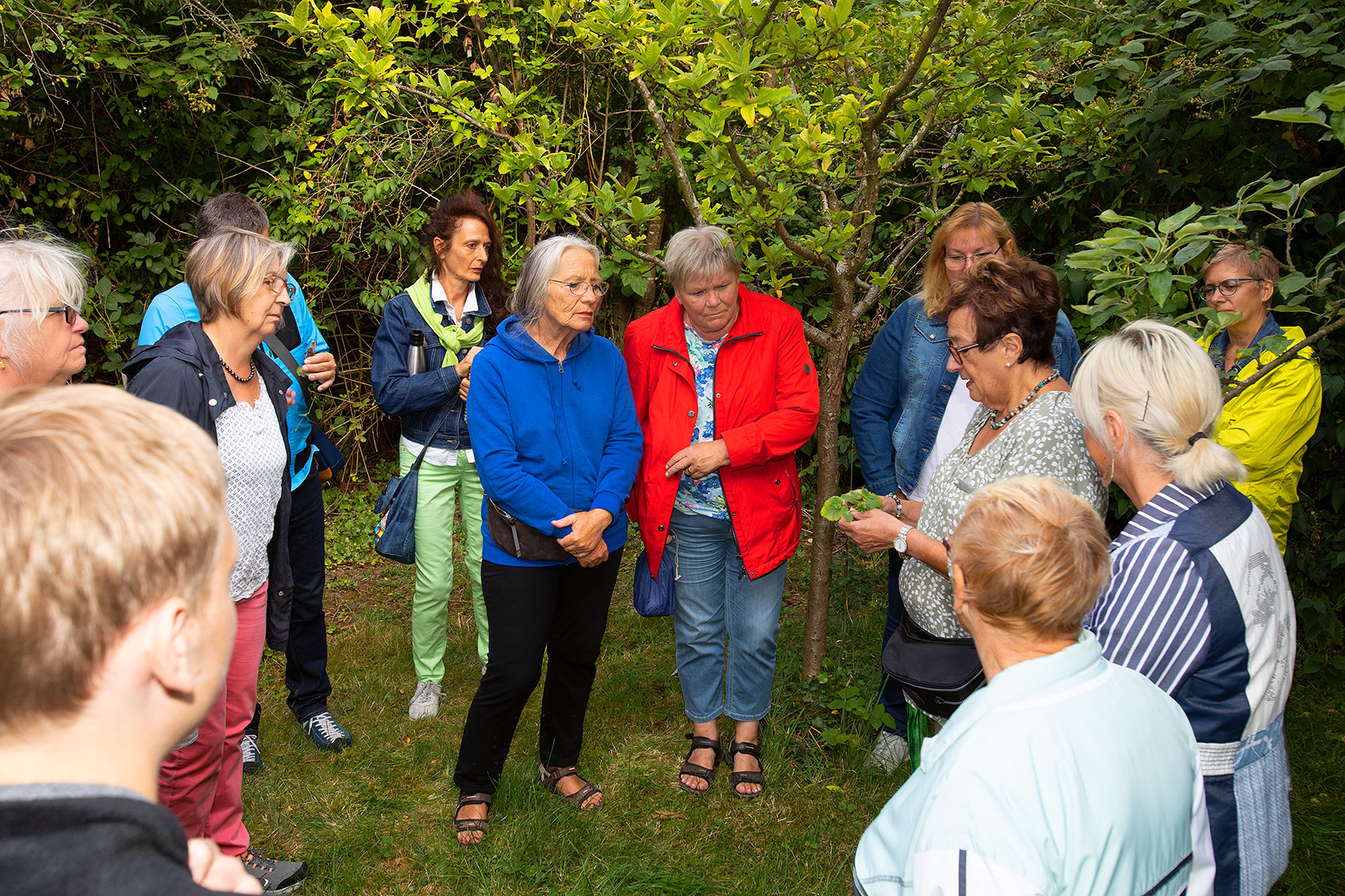 Kräuterwanderung 20220707 0024